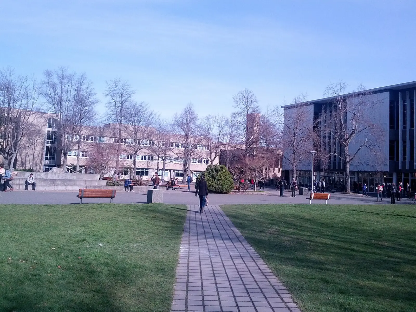 University of Victoria campus and library area